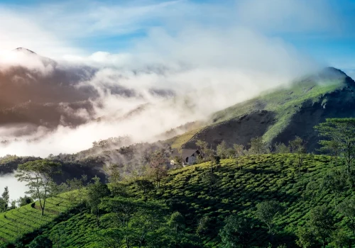 Places To Visit In Idukki