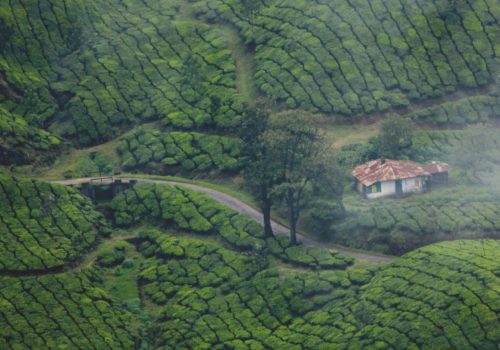 Places To Visit In Munnar