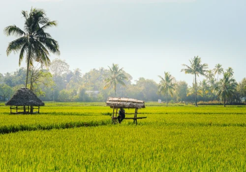 Places To Visit In Palakkad
