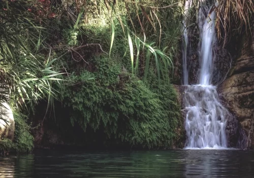 Monsoon Waterfalls You Can Reach By Train