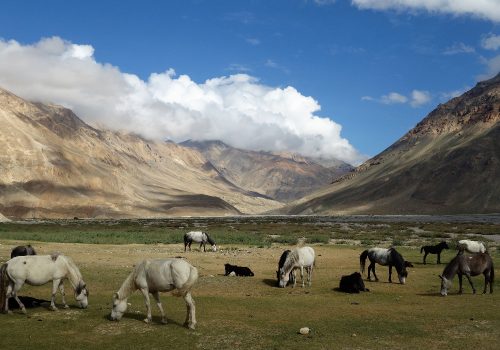 Indian Himalayas