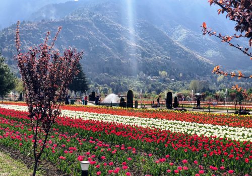Srinagar-content3