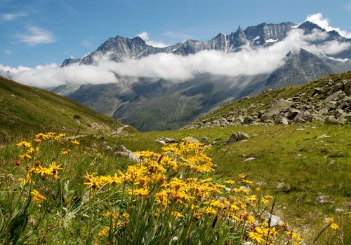 Surreal Places To Visit In Northeast India 
