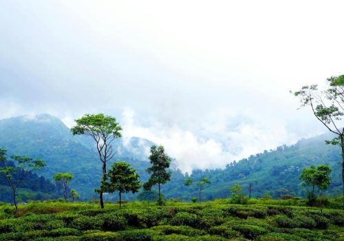 Takdah