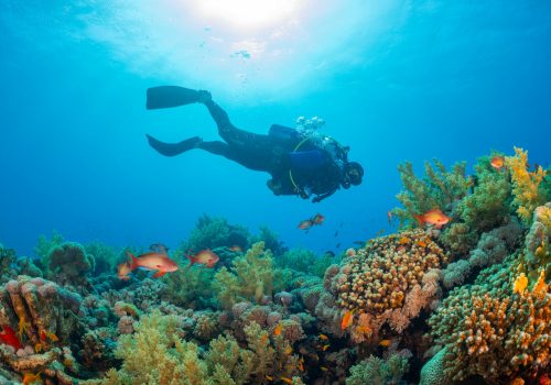 Things To Do In Port Blair