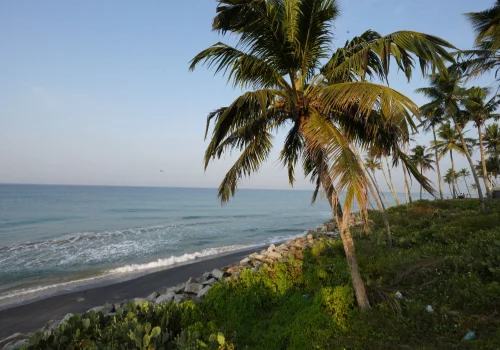 Travel Guide To Thiruvananthapuram