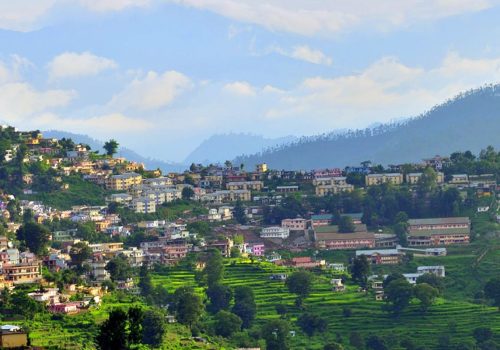 homestays in chail