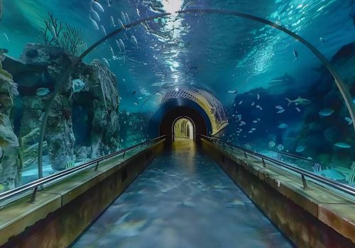 Underwater Aquarium in Mysore