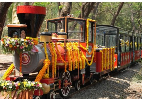 Van Rani toy train