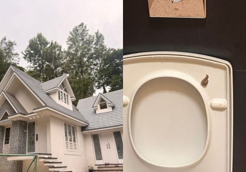 Viral Munnar Airbnb Nightmare