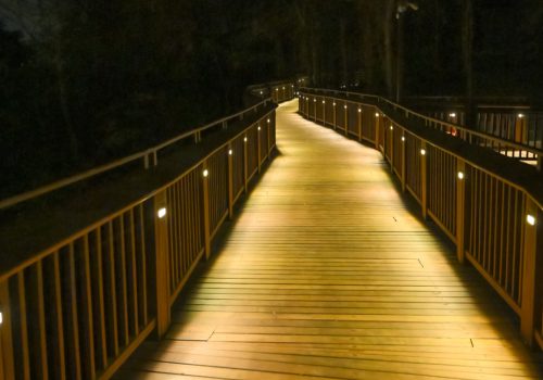 Elevated Nature Trail
