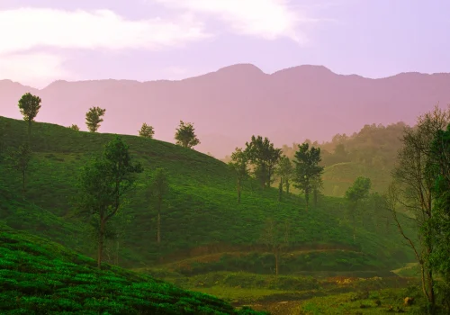 Wayanad 3 Days 2 Nights Itinerary