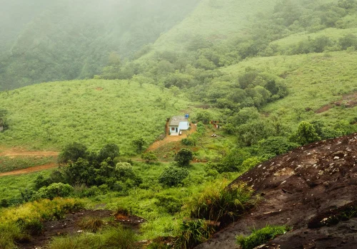 Where To Stay In Wayanad