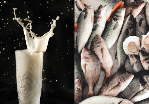 World Food Day 2025