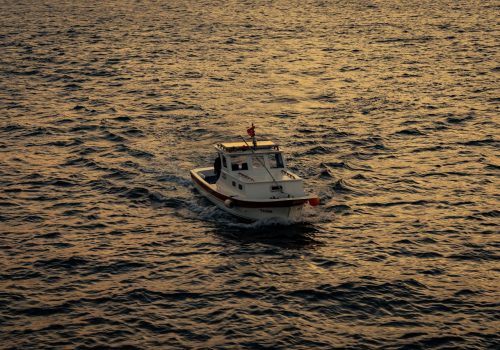 Yamuna Cruise