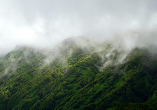 Yeoor Hills