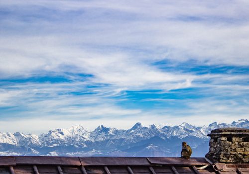 abdullah-alam-njm1aiaacfs-unsplash