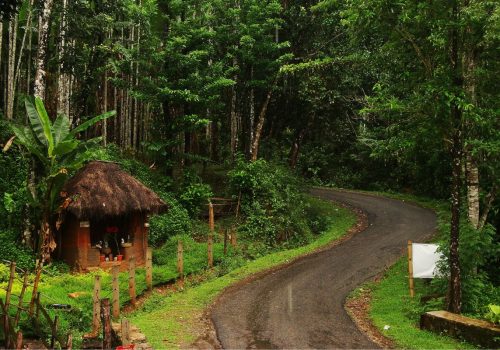 agumbe chikmagalur monsoon