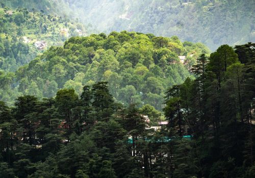 amazing-places-in-July-shimla.