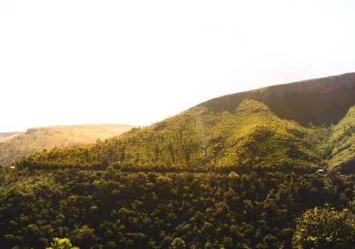 Araku Valley