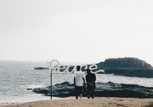 arjun-suresh-e8B3T19xnSw-unsplash