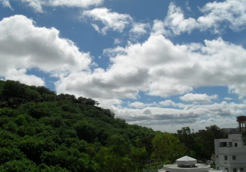 baner-hill-nature-from-my-house-scaled