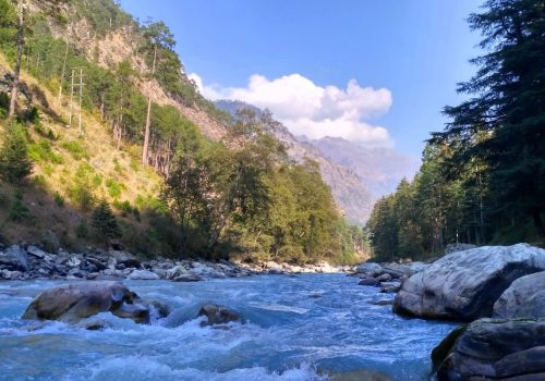 best hostels in kasol