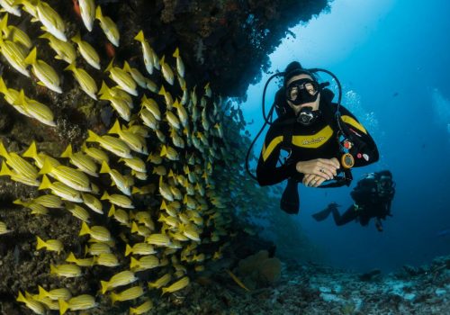 best places to do scuba diving in india