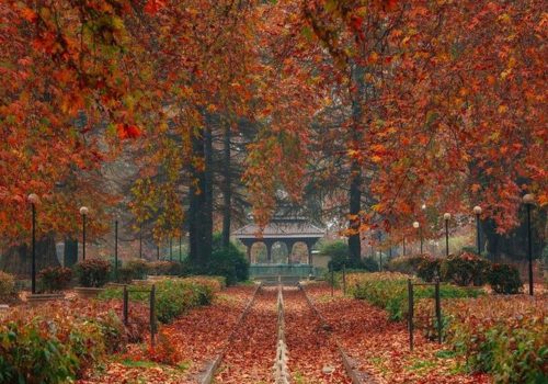 Best places to visit in India in October 2026