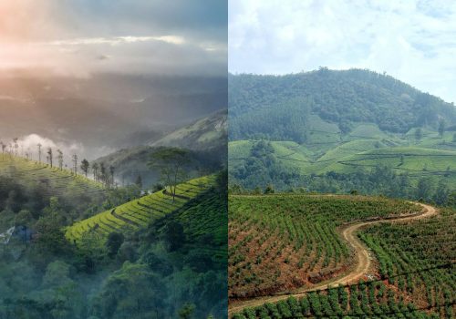 best time visit munnar