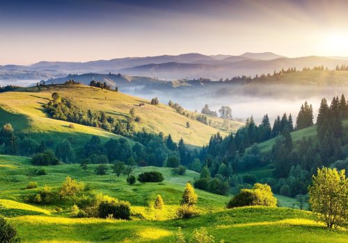 Hill Stations To Visit In Tamil Nadu