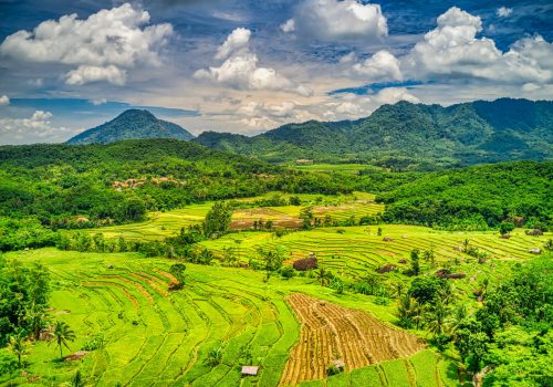 best vacations for single women