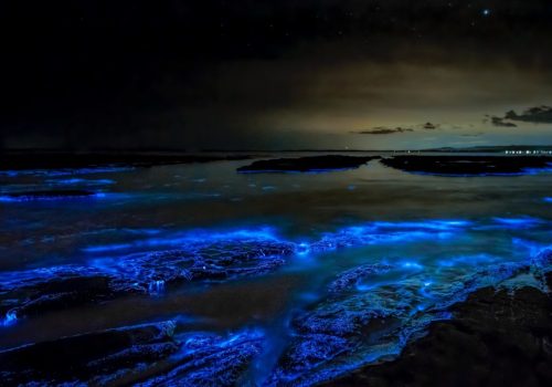 bioluminescent beach in india