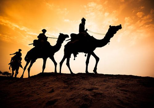 Slow Travel In Rajasthan