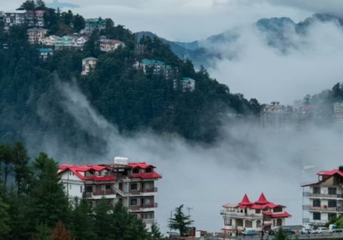 day trips to take from shimla