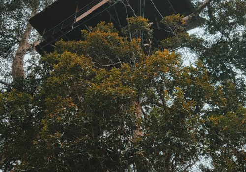 haseeb-hamza-23ol-dX5aD0-unsplash-Wayanad-Kerala