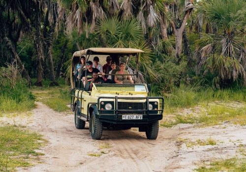 karnataka banned open-jeep safaris