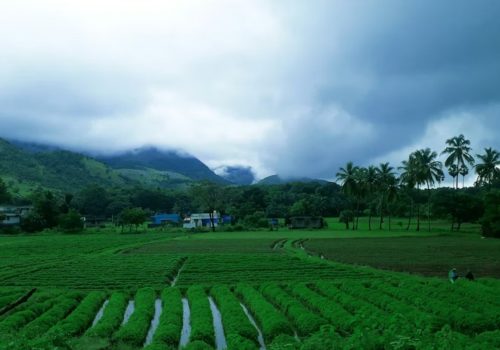 kerala travel monsoon june august guide