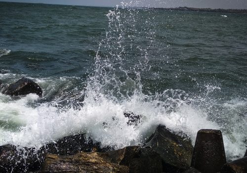 malvan3