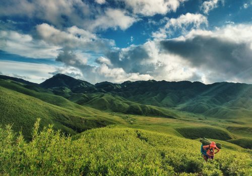 nagaland