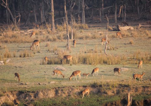 nagpur-national-park