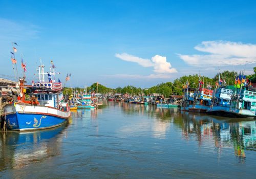 things to do in Kochi