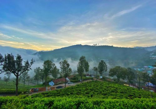 Ooty travel tips