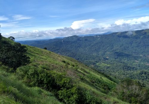 Coorg Travel Guide