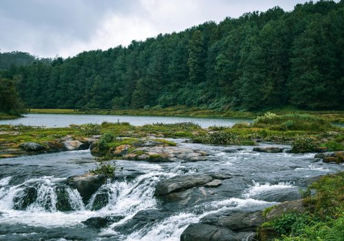 offbeat things to do in ooty