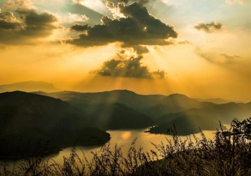 wellness retreats in india for a digital detox