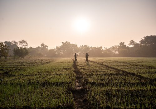 raghvendra-dubey-tki7ktupwra-unsplash