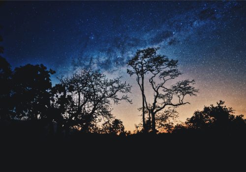 shashank-acharya-8riFHUtqoXM-unsplash