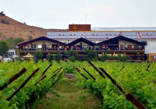 A Day At Sula Vineyards