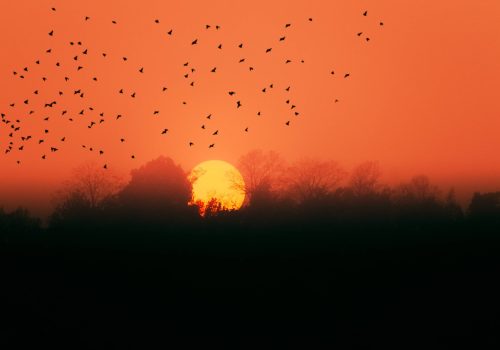 Sunsets In Kolkata